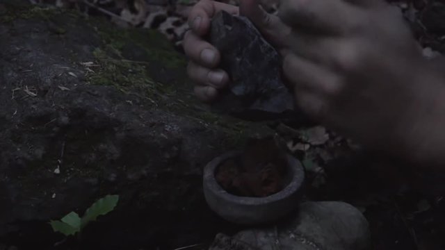 Lighting a fuse mushroom (fomes fomentarius) with pyrite and silex stone (slow motion)
