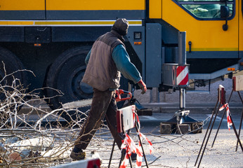 pruning of public green areas in the city.Italy