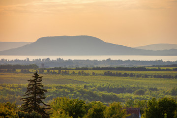 The Badacsony mountain with Lake Balaton and vineyards in the front at sunset in Hungary