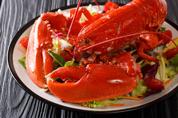 Served red lobster with fresh vegetable salad close-up on a black background. horizontal