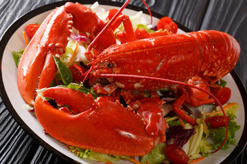 Luxury food recipe: boiled lobster with fresh vegetable salad close-up on a plate on a black table. horizontal