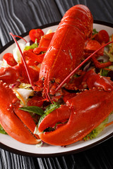 Beautiful luxurious boiled lobster with fresh vegetable salad close-up. vertical. Dietary food