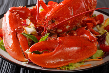 Whole cooked lobster served with vegetable salad close-up. horizontal
