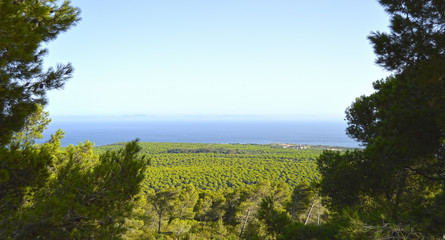Fototapeta premium Panoramic view of the bay of Bolonia and the Natural Park of the Strait, province of Cádiz, Spain