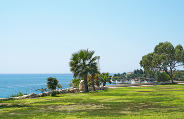 Fototapeta na wymiar Beautiful landscape with trees and green lawn near the Governor Beach in Cyprus
