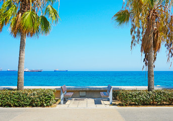 Obraz na płótnie Canvas Benches and palm trees on the embankment of Limassol with ships on horizon in Cyprus