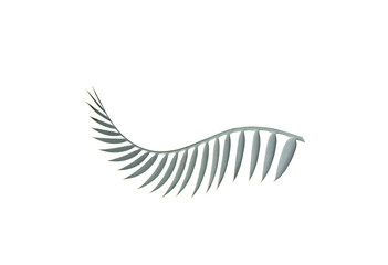 green palm leaf isolated on white background with clipping path