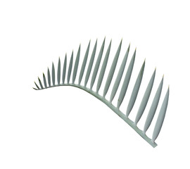 green palm leaf isolated on white background with clipping path