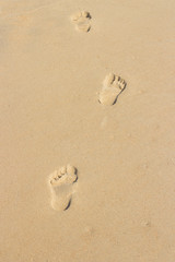 Fototapeta na wymiar Footsteps on summer sea sand