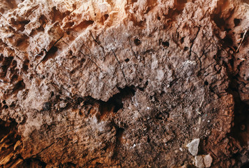 Old painted red wooden background. Stump rustic texture.