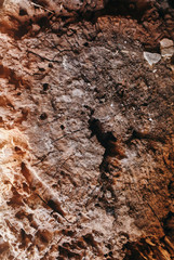 Old painted red wooden background. Stump rustic texture.