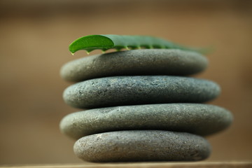 aloe oil spa therapy wood background