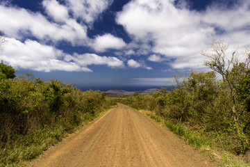 Fototapeta na wymiar A sand road as the main road on Floreana, Galápagos-Archipel