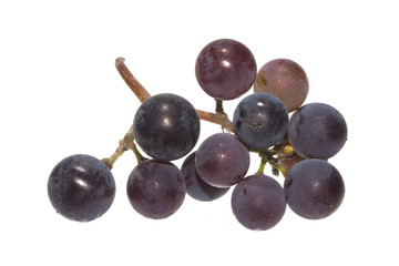 grapes isolated on white background