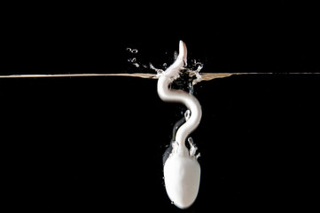 Sperm shape object fall in water