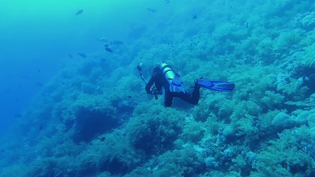 Underwater photographer - diver taking pictures in deep blue water, Red sea, Egypt. Full HD underwater footage.