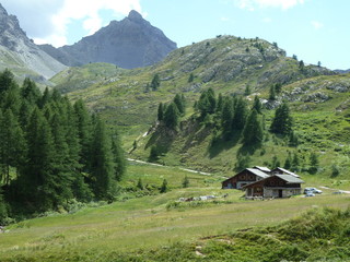 Fototapeta premium Montagne