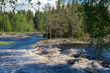 River and rapids of Koitelinkoski in Oulu, Finland. Summer scenery.