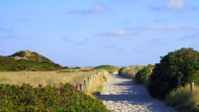 Sylt D&uuml;nen Landschaft Strandweg in H&ouml;rnum