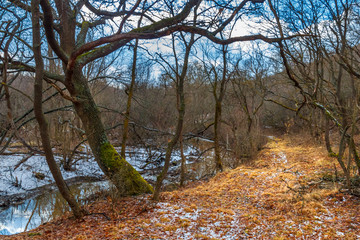 Fototapeta premium Footpath leading along creek in the late fall forest without foliage