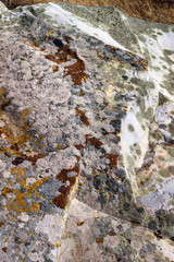 Old weathered stone surface with epilithic crustose lichen