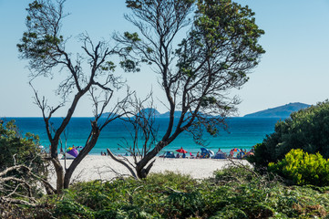 Beachgoers on Squeaky Beach at Wilsons Promontory in South Gippsland in Australia.