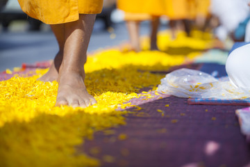 The monks are walking on yellow marigold petals. / The faithful Buddhists are placed for the monks..