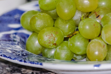 Green grapes on a blue plate