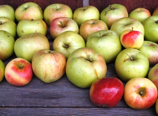 Äpfel,apfel, obst, essen, green, isoliert, rot, gesund, frisch, weiß, diät, saftig, reif, frische, gesundheit, gegenstand, süss, köstlich, vegetarier, bio, natur, vitamin, 
