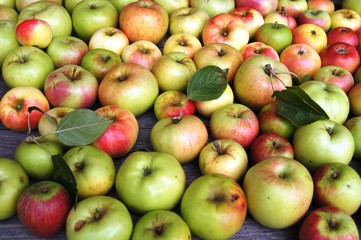 Apfelsaft,apfel, obst, essen, rot, isoliert, gesund, frisch, weiß, reif, green, saftig, diät, süss, gesundheit, frische, natur, vegetarier, auflösungszeichen, köstlich, bio, vitamin, gelb