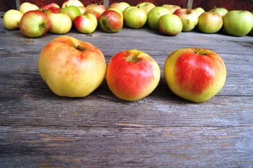 alte Äpfelsorte,apfel, obst, essen, rot, isoliert, gesund, frisch, weiß, reif, green, saftig, diät, süss, gesundheit, frische, natur, vegetarier, auflösungszeichen, köstlich, bio, vitamin, gelb