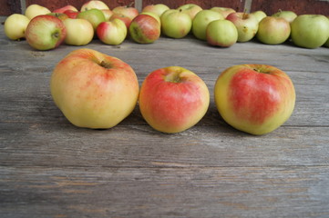 alte Äpfelsorte,apfel, obst, essen, rot, isoliert, gesund, frisch, weiß, reif, green, saftig, diät, süss, gesundheit, frische, natur, vegetarier, auflösungszeichen, köstlich, bio, vitamin, gelb