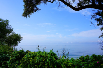 View of the Baltic sea through bush and tree branches. Zelenogradsk shore  