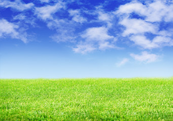Fototapeta na wymiar Green fileld of grass and blue sky