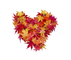 Autumn red maple leaves heart signe symbol isolated on white background.