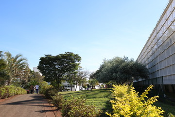 Trees