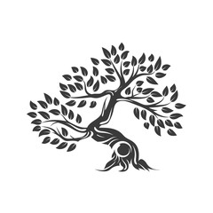 Organic natural and healthy olive tree silhouette logo isolated on white background.