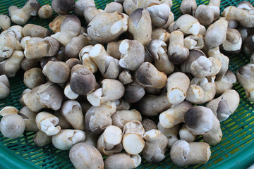 Straw mushroom (Volvariella volvacea) in the basket .