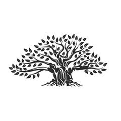 Organic natural and healthy olive tree silhouette logo isolated on white background.