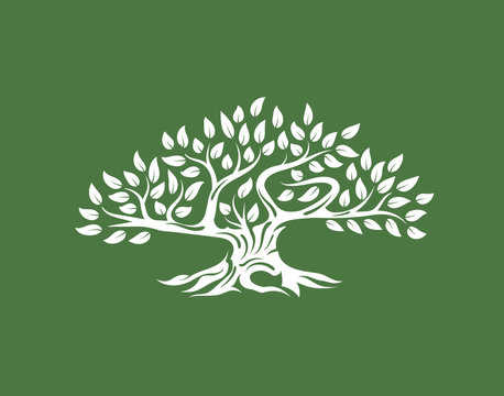 Organic natural and healthy olive tree silhouette logo isolated on green background.