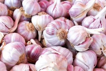  Background of pink garlic bulbs. © Moving Moment