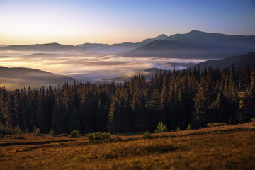 Ukrainian mountains - Karpaty.   Early in the morning.