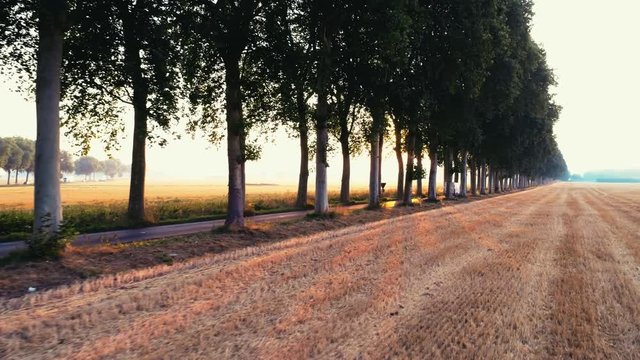 roadway