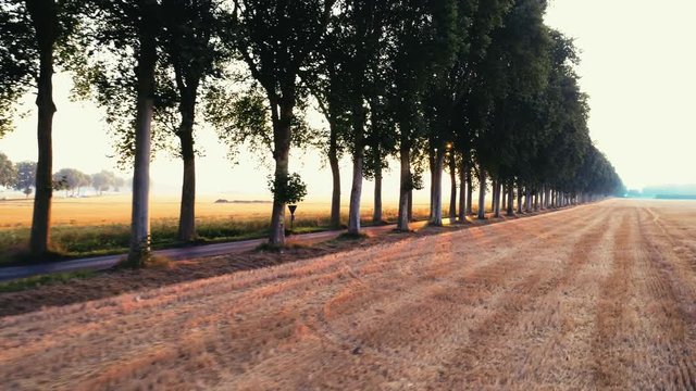 roadway