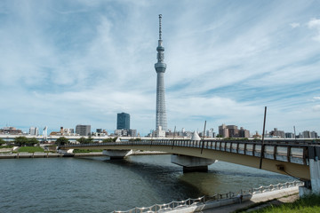 Fototapeta na wymiar Tokyo Skytree/東京スカイツリー