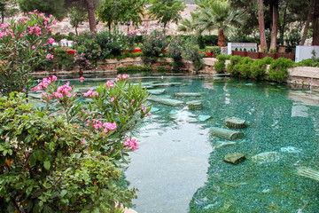 Fototapeta na wymiar the ancient pleasure - hot natural pool in Turkey