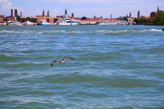 Venice 