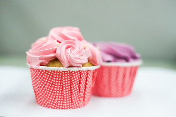 sweet pastel cupcakes with flower on top-shallow depth of field