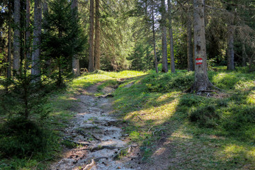 Wanderweg in &Ouml;sterreich