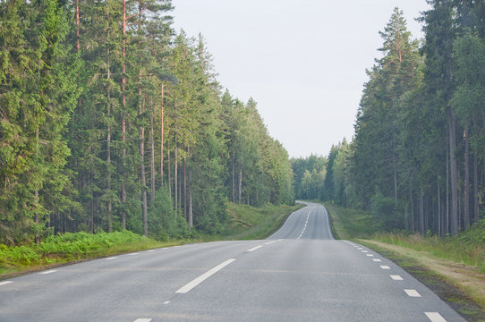 Endless asphalted hilly road ahead through dark green summer forest in south Sweden in July.